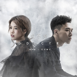 肖文奶奶叫陆红的小说
