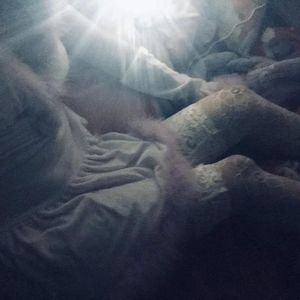 肖文奶奶叫陆红的小说
