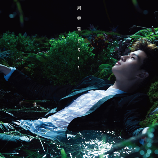 肖文奶奶叫陆红的小说
